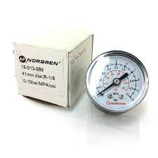گیج فشار پنوماتیک 0-10 bar مدل 18013989 نورگرن